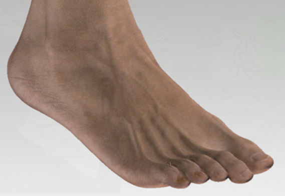 Scanner 3D con fotocamere industriali